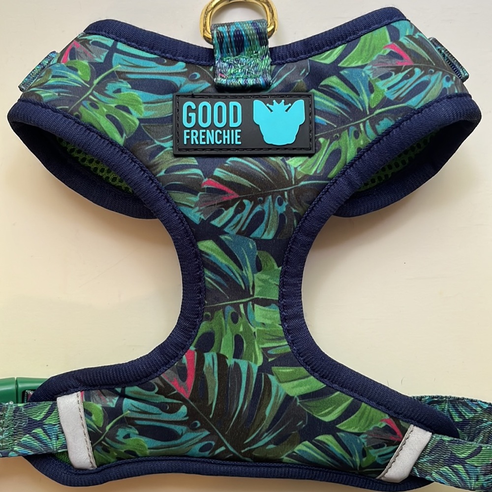 Small Dog Harness